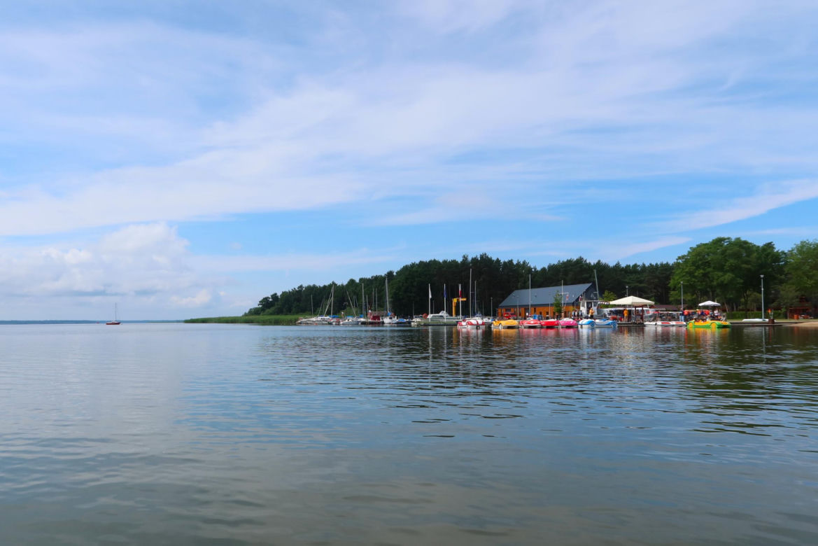 Dąbki