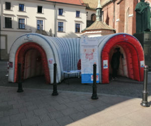 Wielkie jelito grube w centrum Krakowa