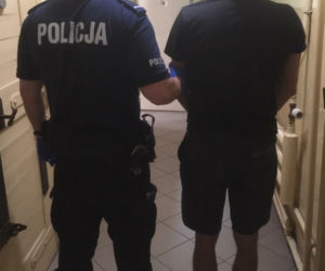 Plantacja znika z gminy Nowe. Hodowca będzie miał spore kłopoty