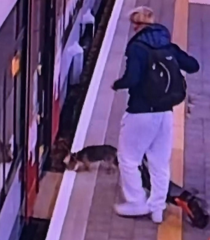 Sam wsiadł do pociągu i pojechał na gapę. Przechadzał się po wagonie i odwiedzał pasażerów