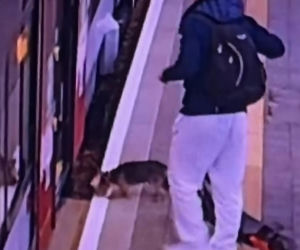 Sam wsiadł do pociągu i pojechał na gapę. Przechadzał się po wagonie i odwiedzał pasażerów