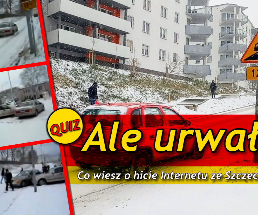 Ale urwał! Co wiesz o jednym z największych hitów polskiego Internetu?