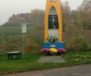Wyjątkowo kolorowa jesień w Gminie Iława. Wszędzie chryzantemny!