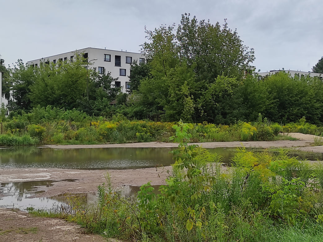 Fatalne skutki burzy w Warszawie