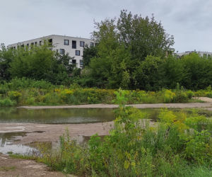Fatalne skutki burzy w Warszawie