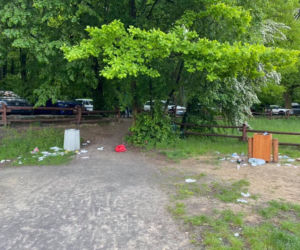 Park Młociński jak wysypisko śmieci