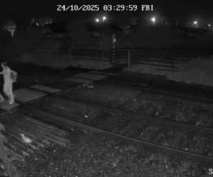 Sztuczna inteligencja kazała mu zabić matkę młotkiem. Kobieta nie żyje