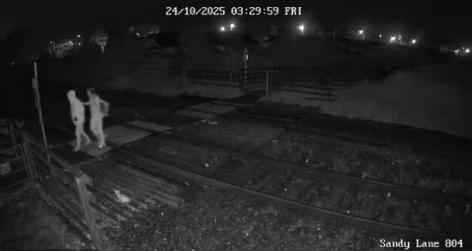 Sztuczna inteligencja kazała mu zabić matkę młotkiem. Kobieta nie żyje