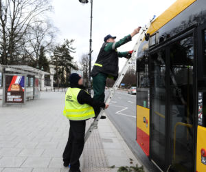 Warszawa: Al Ujazdowskie, potężne drzewo spadło na autobus i zablokowało ulicę
