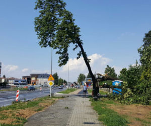 Skutki burzy w Zamościu