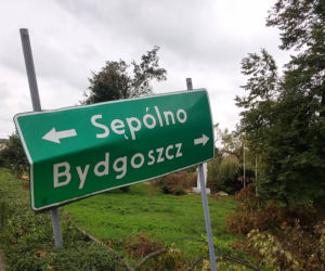 Sośno po nawałnicy. Potrzebne są ręce do pracy