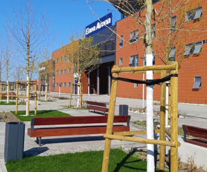 Przed halą Enea Arena powstaje Aleja Szczecińskich Olimpijczyków