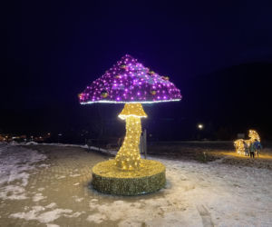 Świąteczne iluminacje w Muszynie