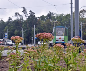 Budowa węzła Głębokie - wrzesień 2021