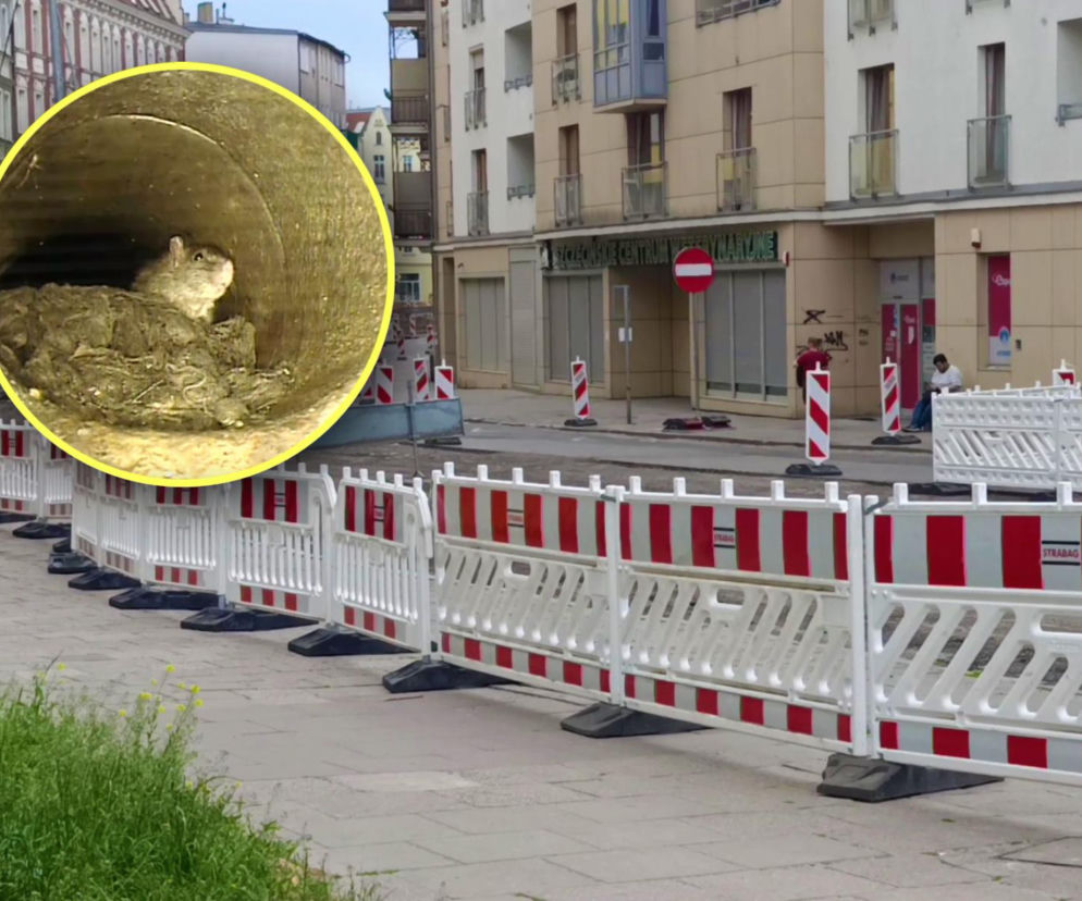 Drogowcy zdjęli asfalt, a ziemia się zapadła. Zaskakujący powód awarii