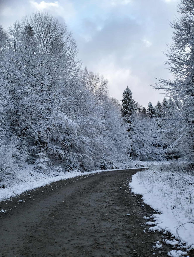 Zima w Bieszczadach