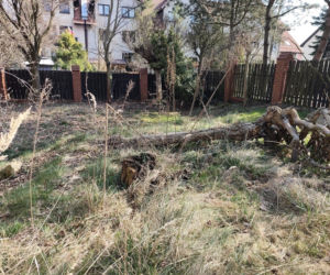 Upadek znanego prokuratora. Sukcesy, korupcja i śmierć. Jak zginął Jerzy Hop i jego syn? Nowe hipotezy szokują