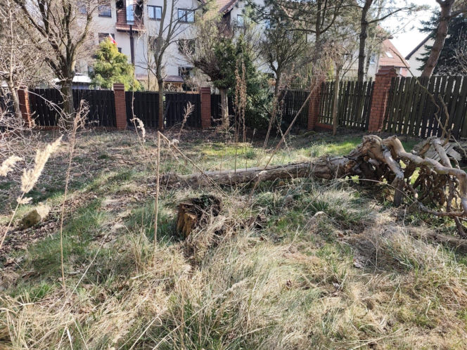 Upadek znanego prokuratora. Sukcesy, korupcja i śmierć. Jak zginął Jerzy Hop i jego syn? Nowe hipotezy szokują