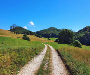 Ponad milion złotych na modernizację dróg w regionie