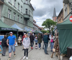 Daisy Days w Pszczynie przyciągnęły tłumy turystów