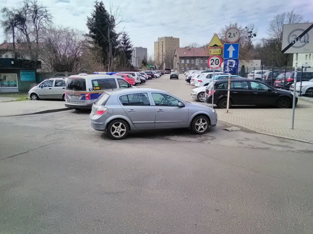 Parkują na przejściach dla pieszych, skrzyżowaniach i... przystankach autobusowych. A Straż Miejska jest bezlitosna [GALERIA]