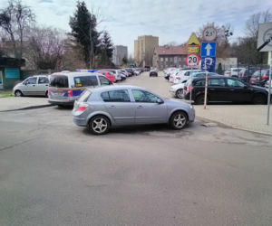 Parkują na przejściach dla pieszych, skrzyżowaniach i... przystankach autobusowych. A Straż Miejska jest bezlitosna [GALERIA]