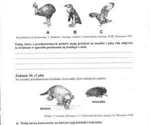 MATURA 2012 BIOLOGIA poziom ROZSZERZONY 14.05.2012 - ARKUSZE, ZADANIA, PYTANIA, ODPOWIEDZI