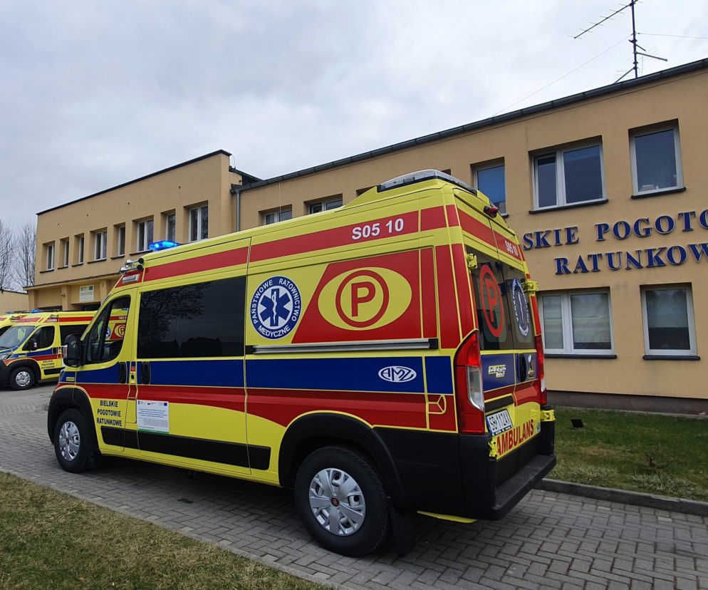 Nowe karteki