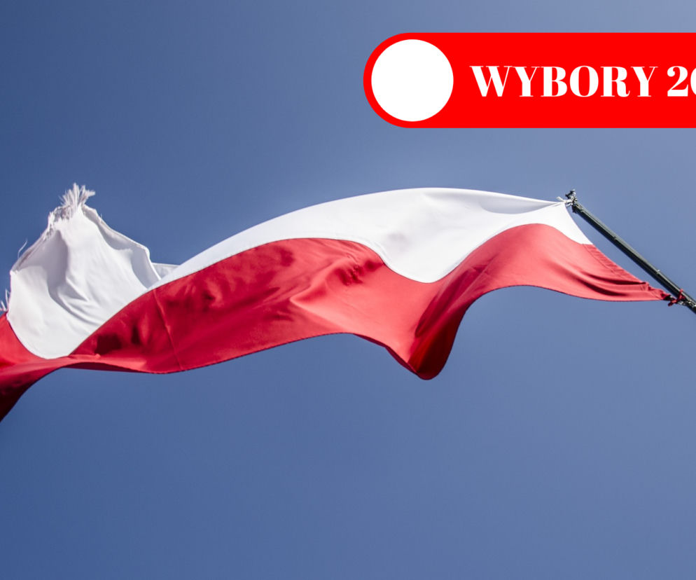Wybory 2019