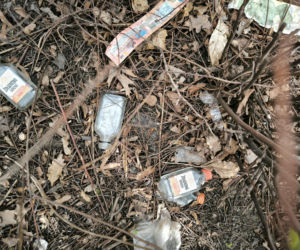 Śmietnisko przy Alternatywie