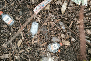 Śmietnisko przy Alternatywie