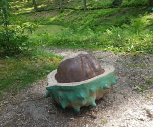 Leśne Arboretum Warmii i Mazur w Kudypach