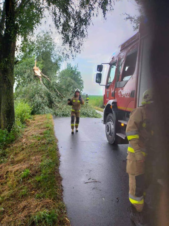 Interwencje po burzy w Kujawsko-Pomorskiem