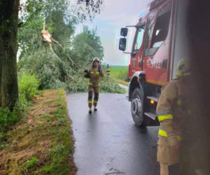 Interwencje po burzy w Kujawsko-Pomorskiem