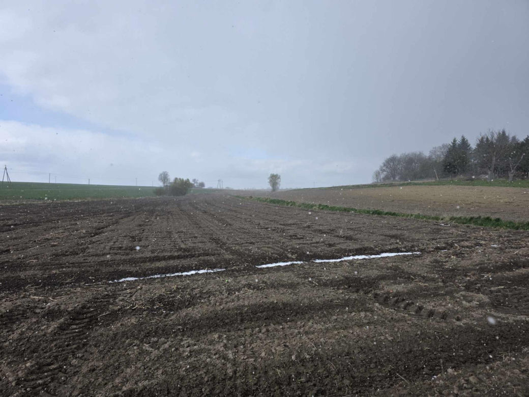 Wiosna walczy z zimą