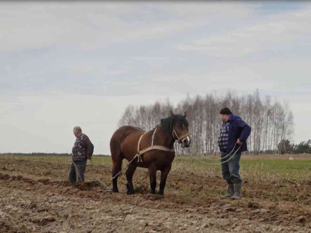 Rolnicy. Podlasie 2. Co się wydarzyło w 4. odcinku? [STRESZCZENIE, POWTÓRKA]