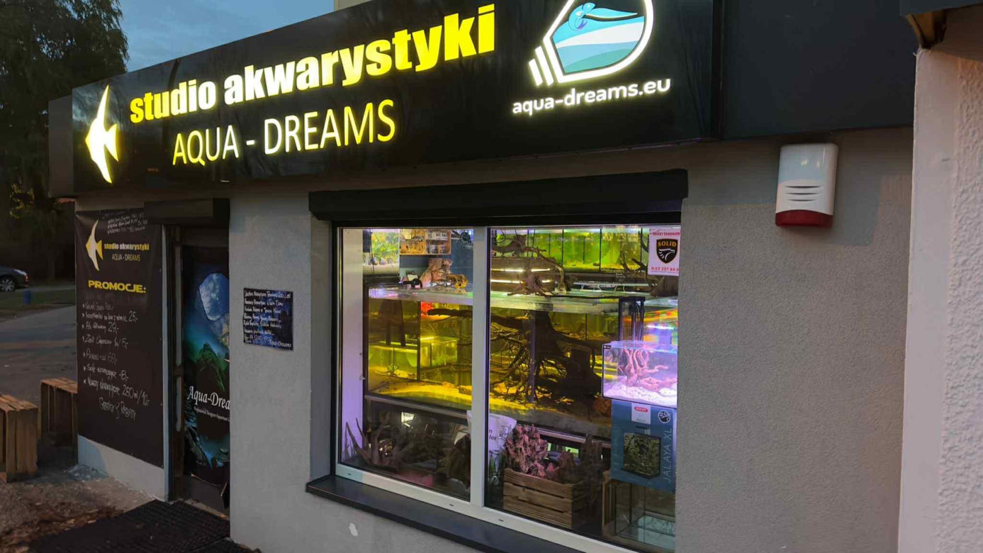 Studio Akwarystyki Aqua Dreams w Bydgoszczy to miejsce z wielką pasją