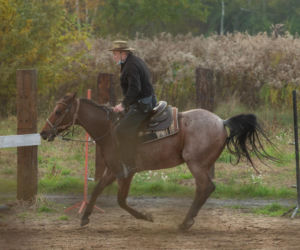 Daniel Olbrychski pachniał koniem i potem