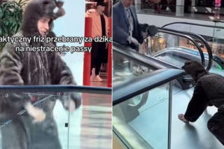Friz biegał po galerii w stroju dzika. Nagrania świadków trafiły do sieci