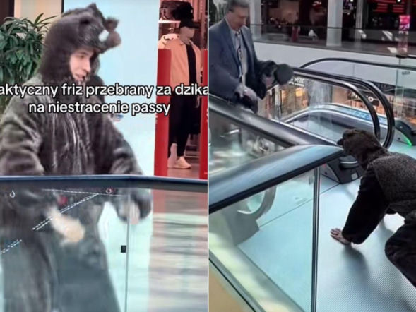 Friz biegał po galerii w stroju dzika. Nagrania świadków trafiły do sieci