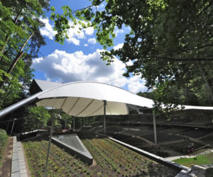 Opera Leśna w Sopocie