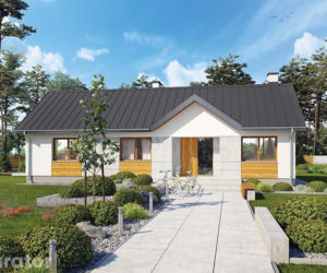 Projekt M238 Efektowny