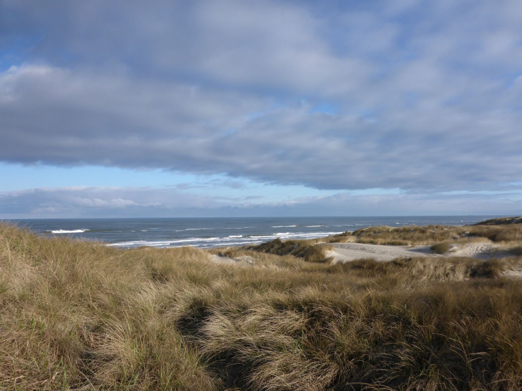 Henne Strand, Dania