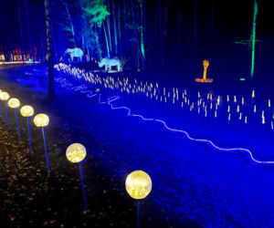 Lumina Park Bydgoszcz