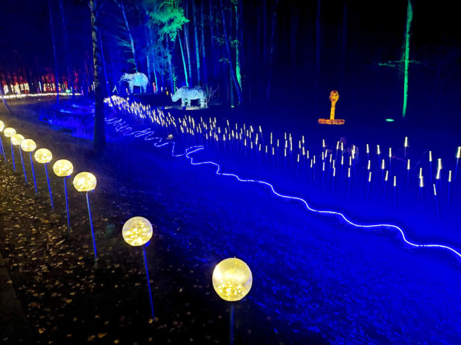 Lumina Park Bydgoszcz