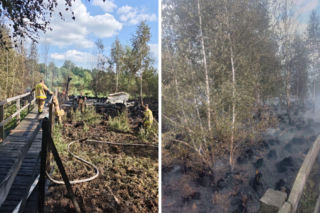 Wieża widokowa koło Kostrów spłonęła doszczętnie. Ogień objął pobliski las 