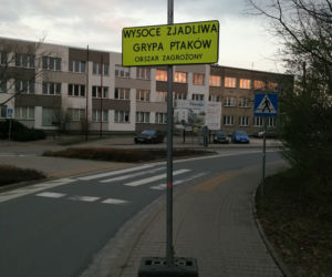 Ptasia grypa Wrocław