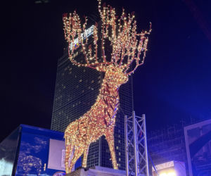 Jarmark w Niemczech 2025