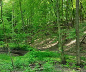 Pogoda na majówkę w Lesznie 2026