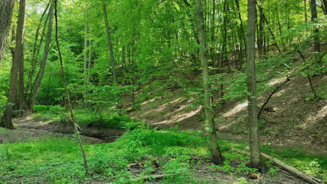 Pogoda na majówkę w Lesznie 2026